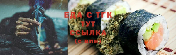 стаф Алзамай