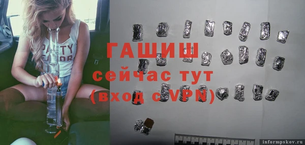 стаф Алзамай
