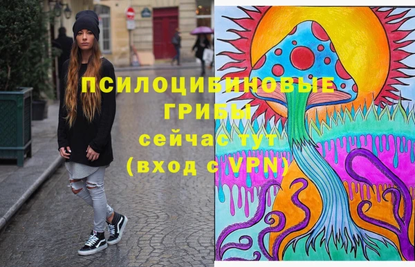 мескалин Алексин