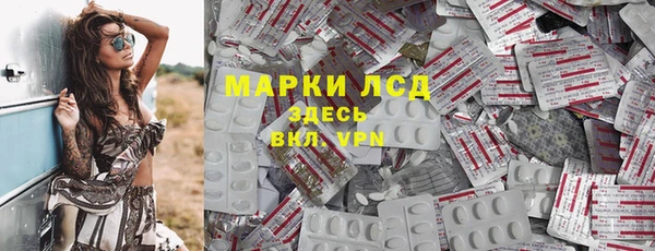стаф Алзамай