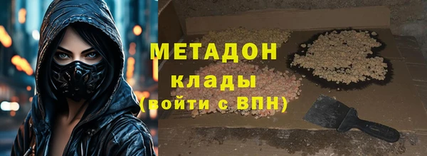 стаф Алзамай