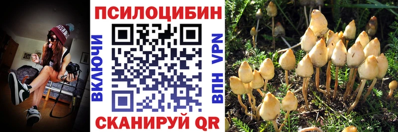 Купить  Солнечногорск  Псилоцибиновые грибы ЛСД 